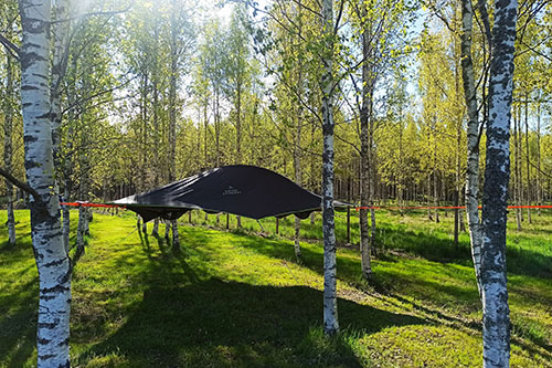 Tensile hung on birches at Hannaksen Tila